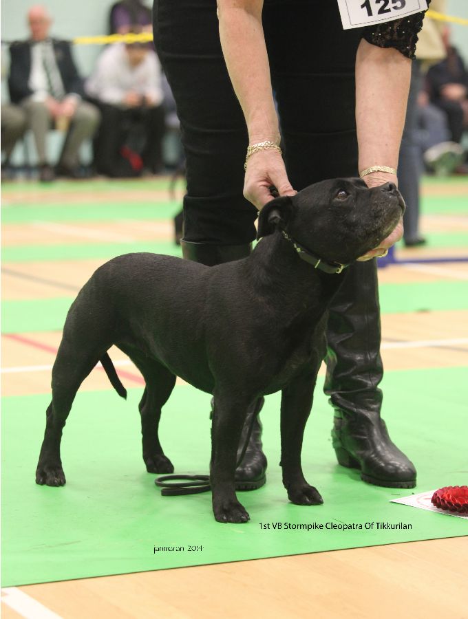 1st VB Stormpike Cleopatra Of Tikkurilan