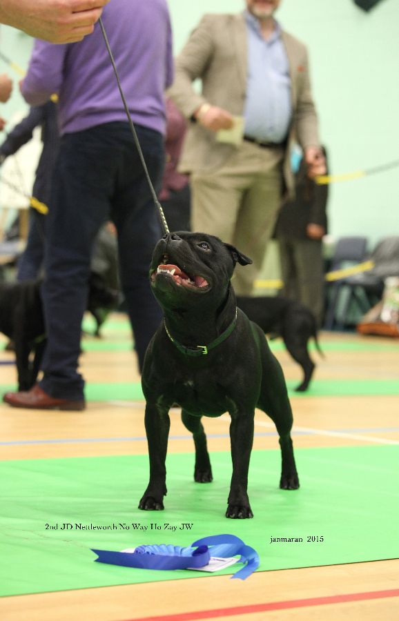 NWSBTC Ch show pic 2 2nd JD