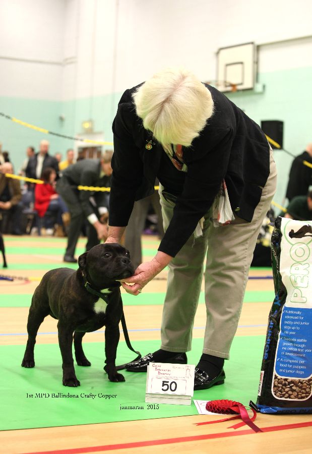 NWSBTC Ch show 2015 1st MPD