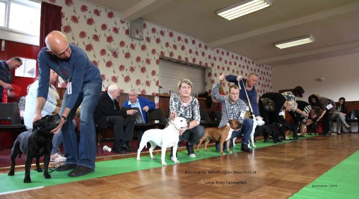 Web. NWSBTC Bitch line up 19.10_edited-1