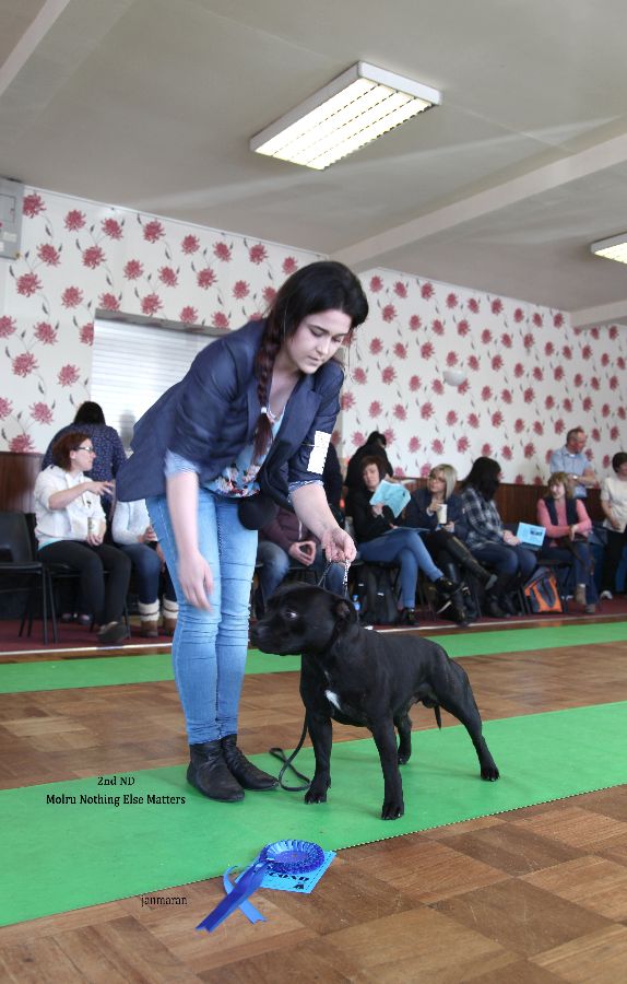 2nd PGD NW open 17.4