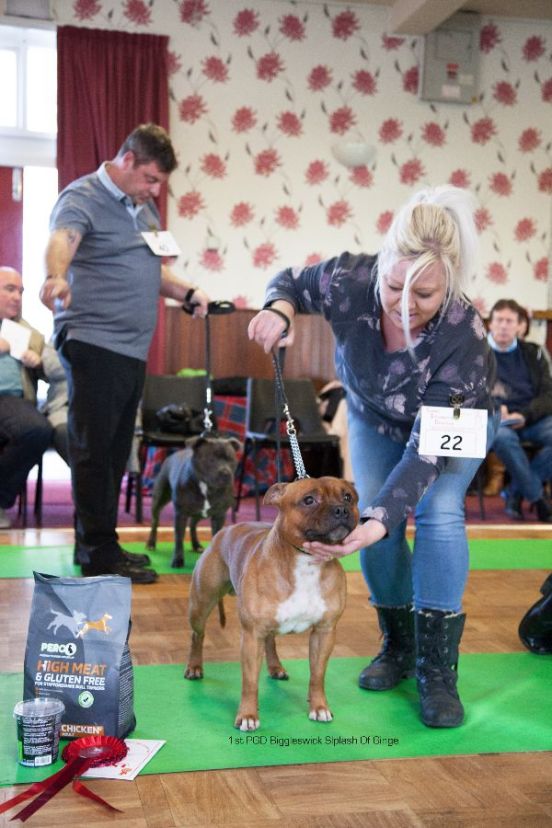 1st-pgd-biggleswick-splash-of-ginge-nw-open-23-10