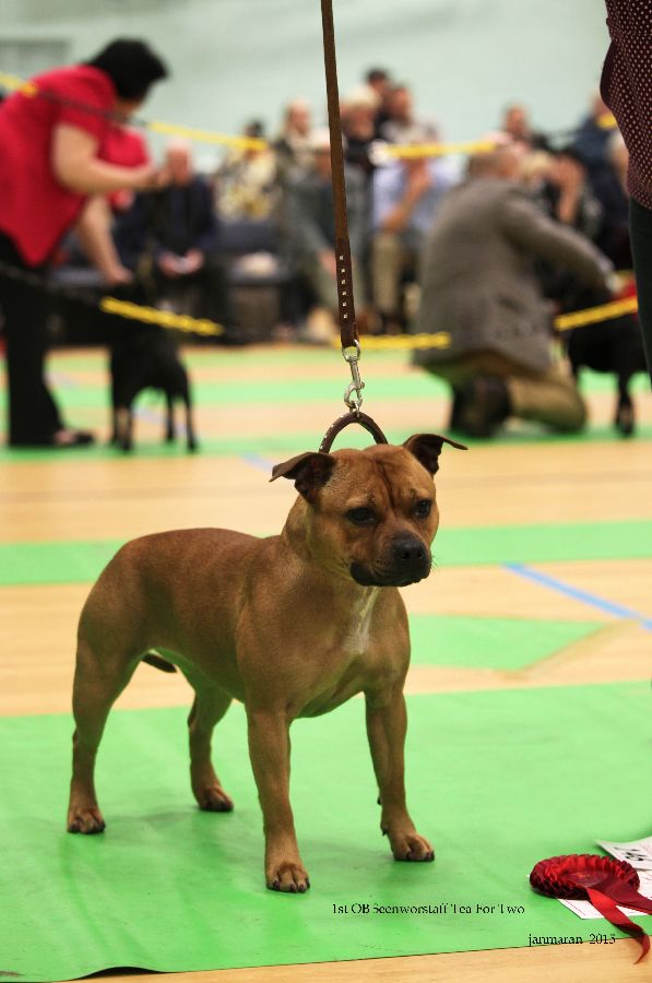 NWSBTC Ch show 1st OB