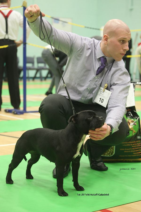 1stJB Felkirkstaff Galadriel