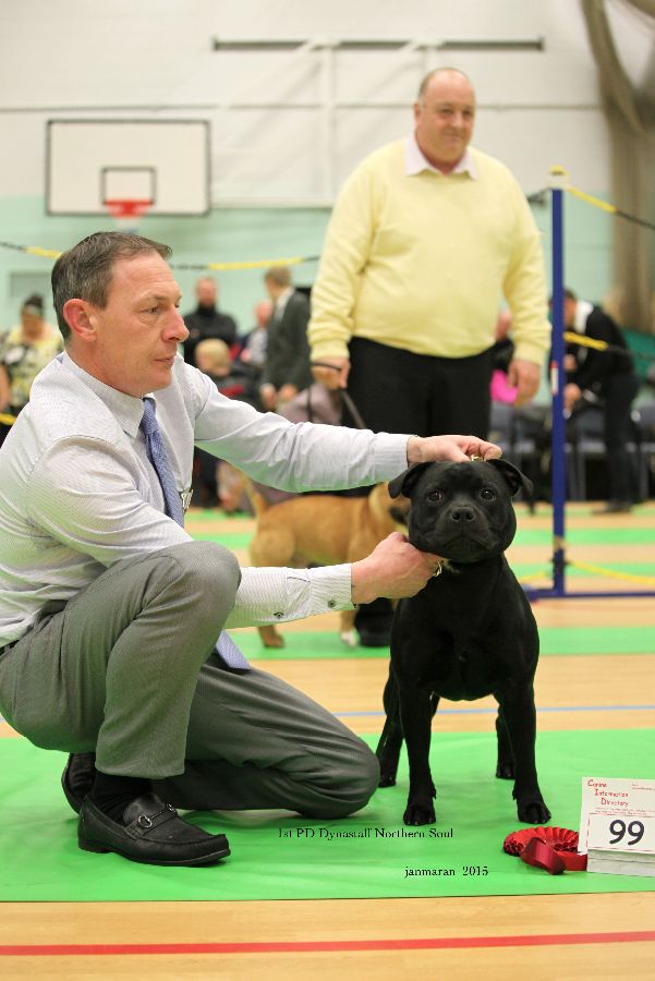 NWSBTC Ch show 1st PD