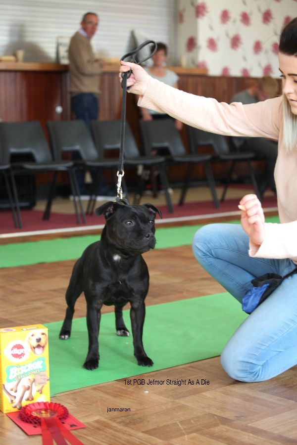 1st PGB nwsbtc open 11.10