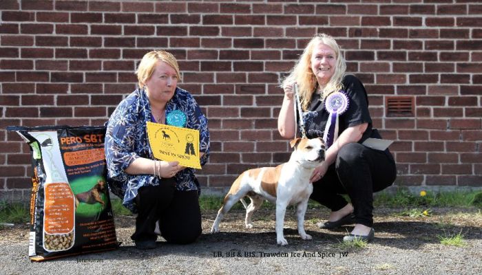 Limit Bitch, BB & BIS NW open 17.4