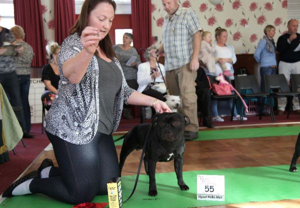 Web.Alport Hallo Man1st jd nwsbtc open 19_edited-1