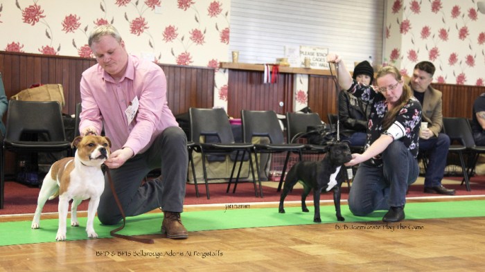 BPD&BPB NWSBTC limit 24.1_edited-1