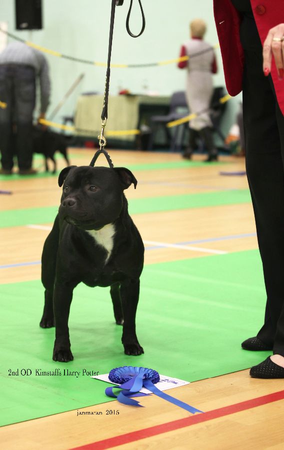 NWSBTC Ch show 2nd OD