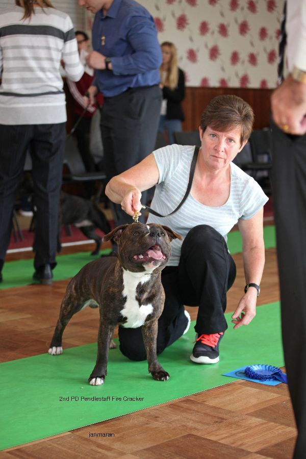 2nd PD nwsbtc open show 11.10