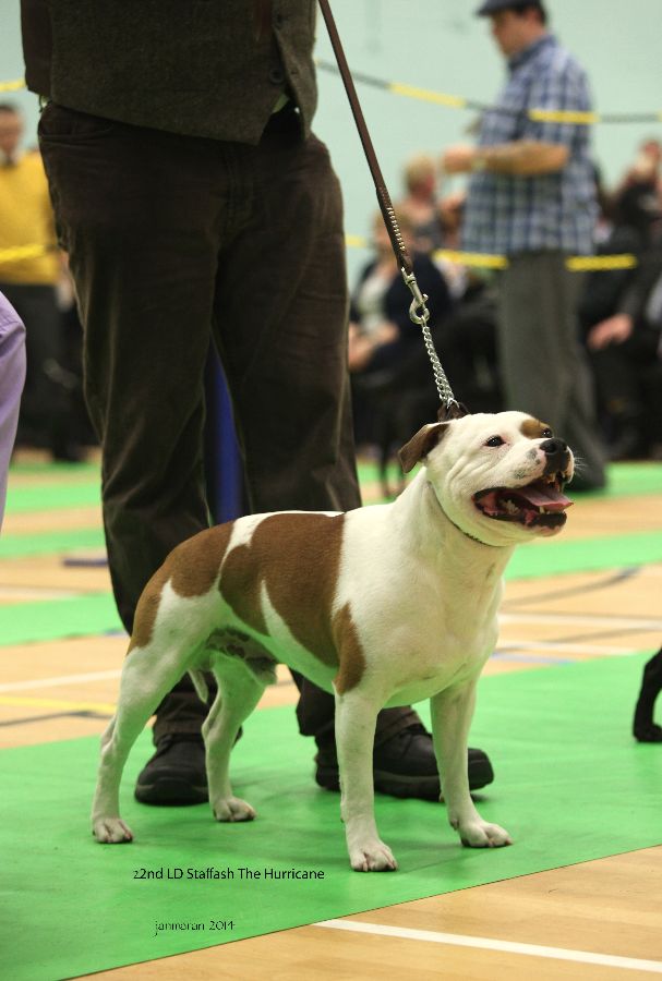 2nd LD Staffash The Hurricane