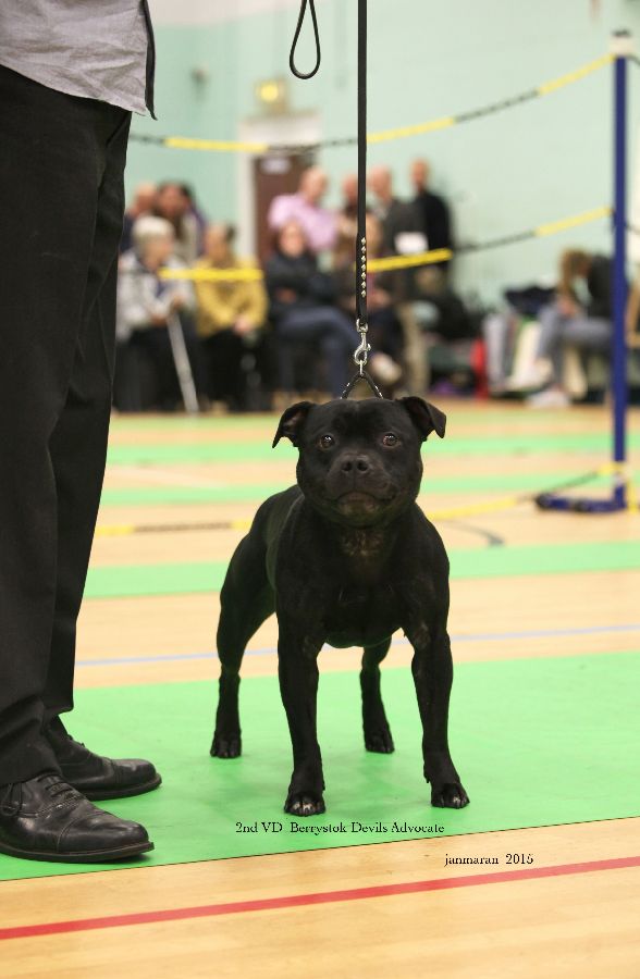 NWSBTC Ch show 2nd VD