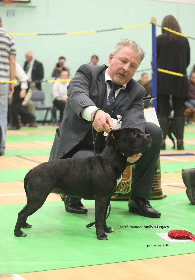 1st YB Manark Molly's Legacy