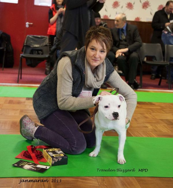 NWSBT limited show 2013