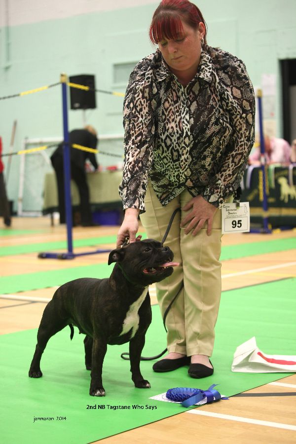 2nd NB Tagstane Who Says_edited-1