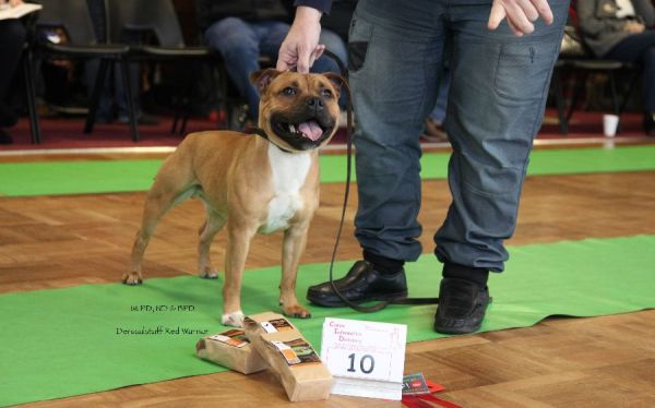 Derosalstaff Red Warrior 1st pd,nd & bpd NWSBTC limit 18.1