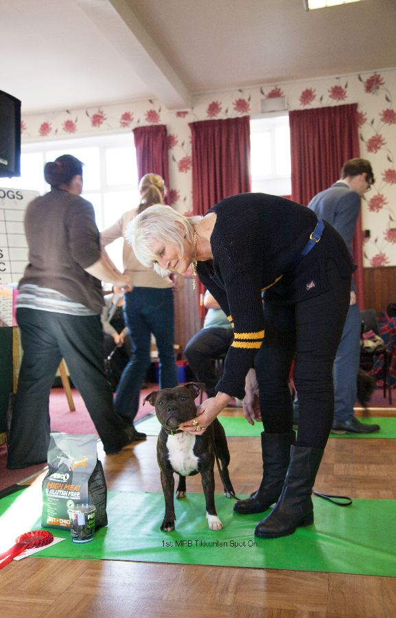 1st-mpb-pic-2-tikkurilan-nw-open-23-10