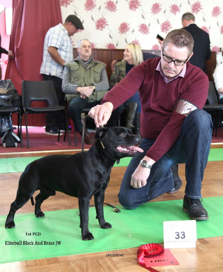 1st PGD NW open 17.4