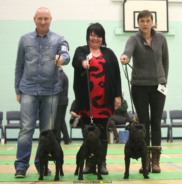 Best Breeder in Breed