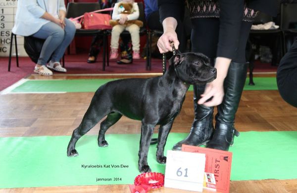 Web. Kyraloebis Kat Von Dee 1st mpb nwsbtc open 19_edited-1