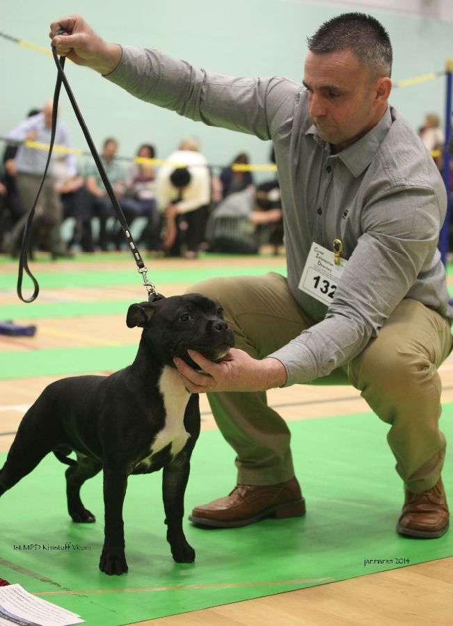 1st MPD Kimstaff Vitani taf