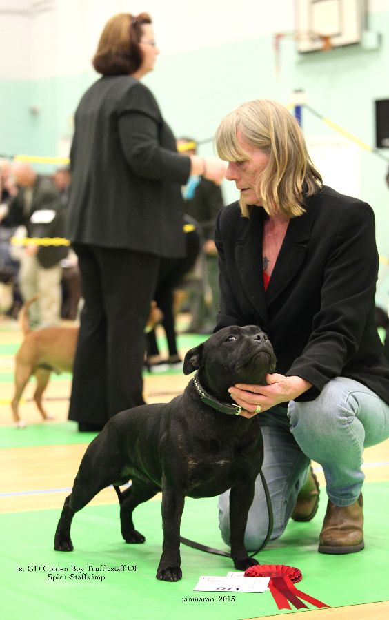 NWSBTC Ch show 1st GD