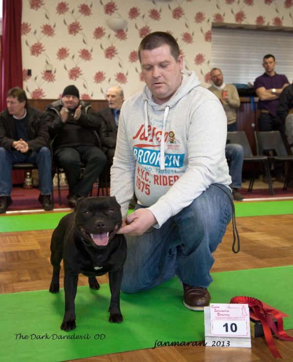 NWSBTC limited show OD