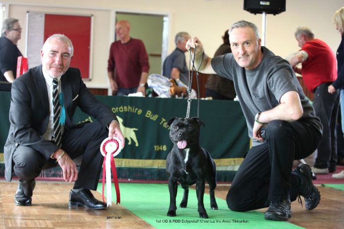 RBB nwsbtc open 11.10