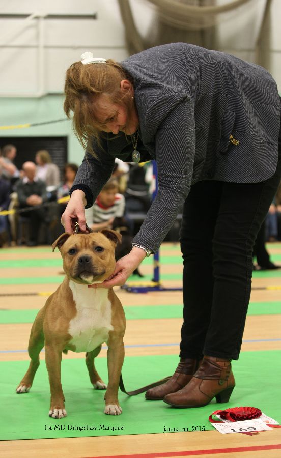 NWSBTC Ch show 1st MD