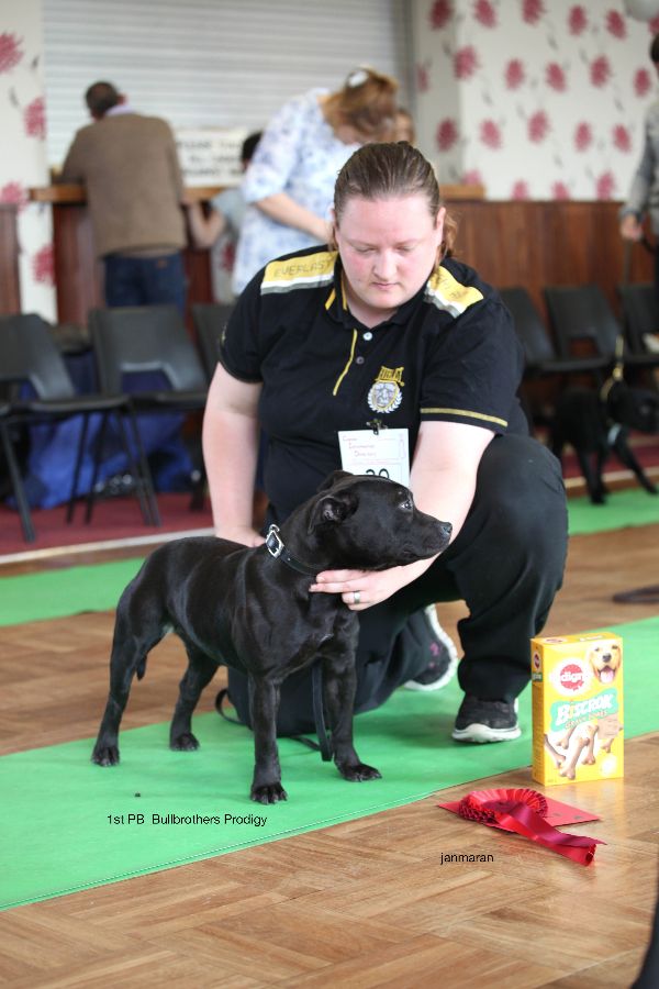 1st PB nwsbtc open show 11.10