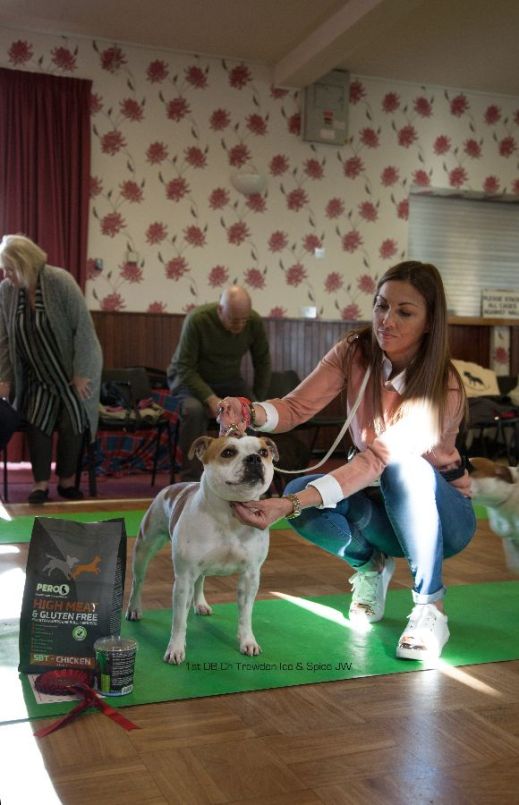 ob-1st-ch-trawden-icespice-jw-nw-open-23-10