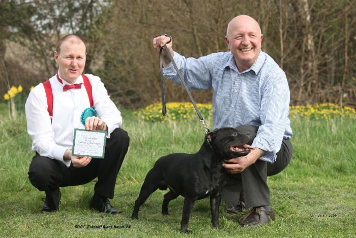 RDCC Zakstaff Black Baron jw_edited-1