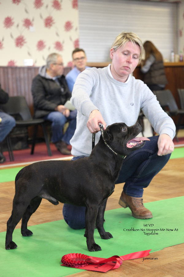 1st VD NWSBTC limit 24.1