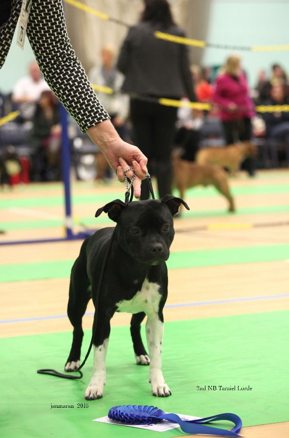 NWSBTC Ch show 2nd NB