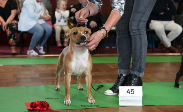 Web. Waystaff Double Impact 1st PB nwsbtc open 19_edited-1