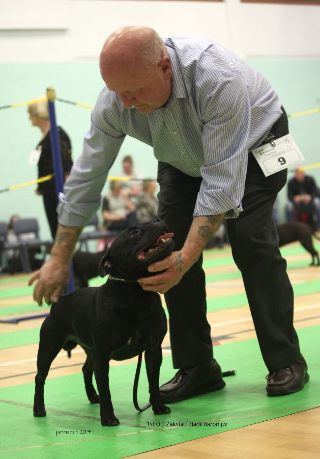 1st OD Zakstaff Black Baron jw