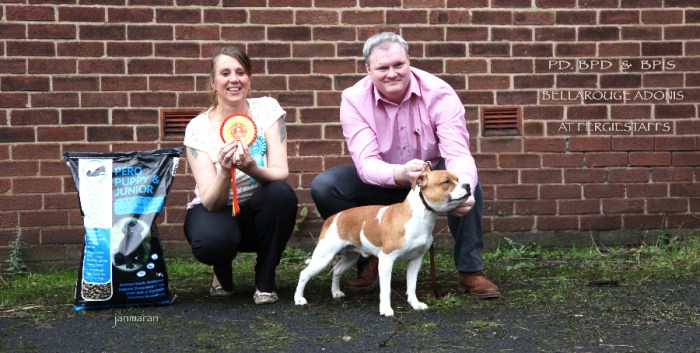 BPIS nwsbtc limit 24.1