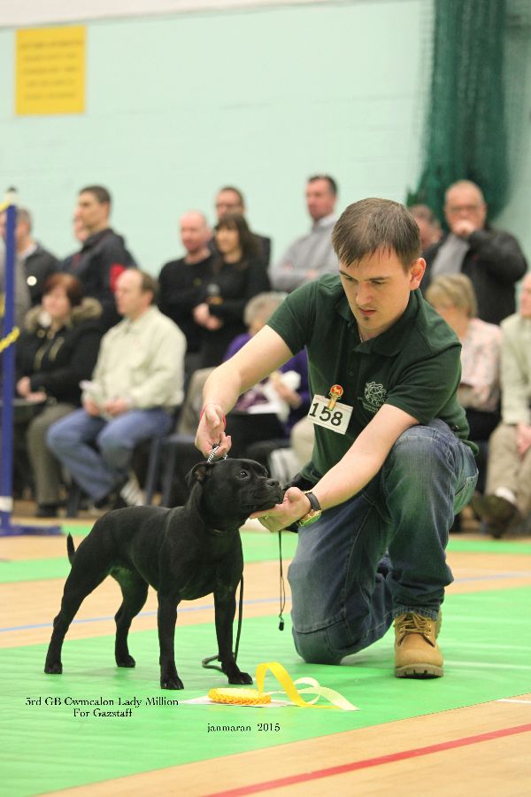 NWSBTC Ch show 3rd GB