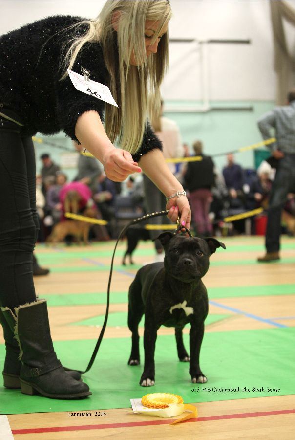 NWSBTC Ch show 3rd MB