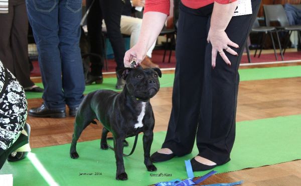 Web.2nd jb kimstaff's kiara nwsbtc open 19 _edited-2