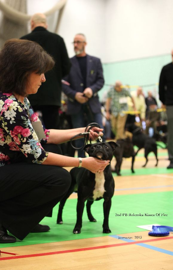 NWSBTC Ch show 2nd PB _edited-1