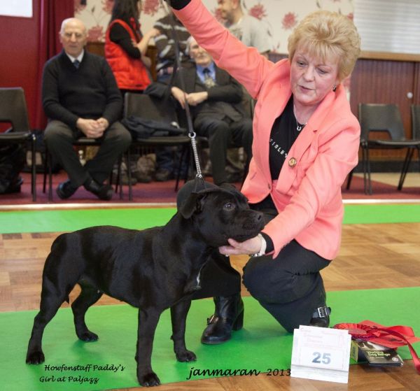 NWSBTC limited show LB