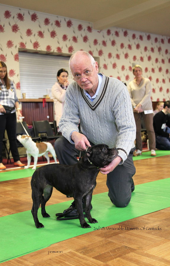 2nd VB NWSBTC limit 24.1