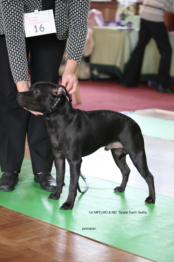 1st MPD,MD&ND nwsbtc 11.10