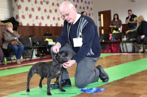 Web. 2nd VB Memorable Moments Of Gantocks nwsbtc open 19_edited-1