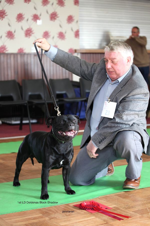 1st LD nwsbtc open show 11.10