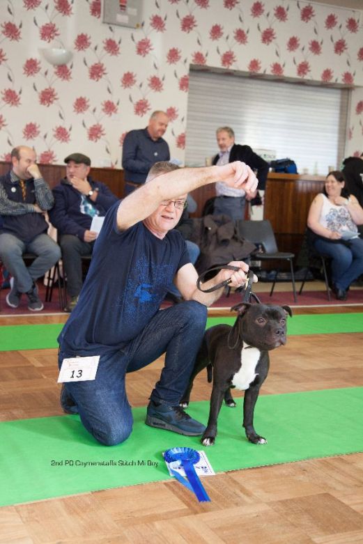 2nd-pd-caymenstaffs-stitch-mi-boy_edited-1