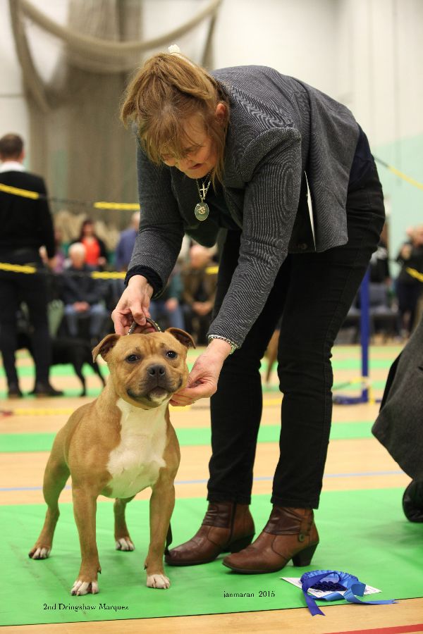 NWSBTC Ch show 2015 2nd MPD