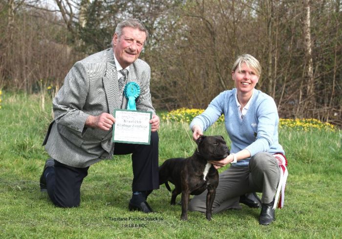 Tagstane Fucshia Struck LB&BCC